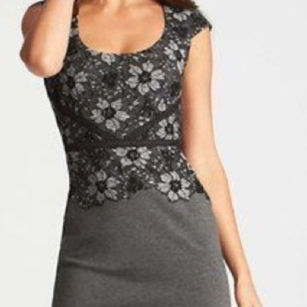 Ann Taylor Ponte Lace Overlay Dress